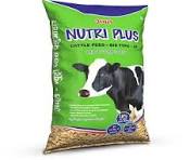 Animal Feeds