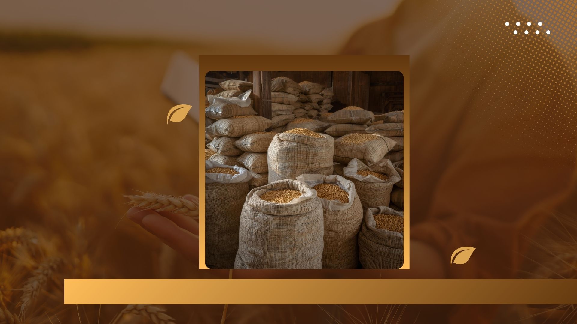 PP Woven Bags for Agriculture